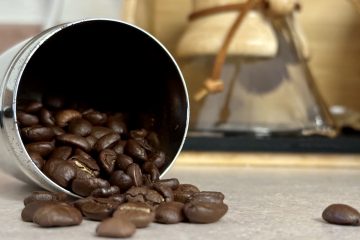 Lifeboost Coffee Review